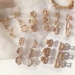 اكسسوارات الشعر