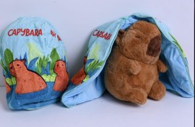 دبدوب داخل غطاء سحاب